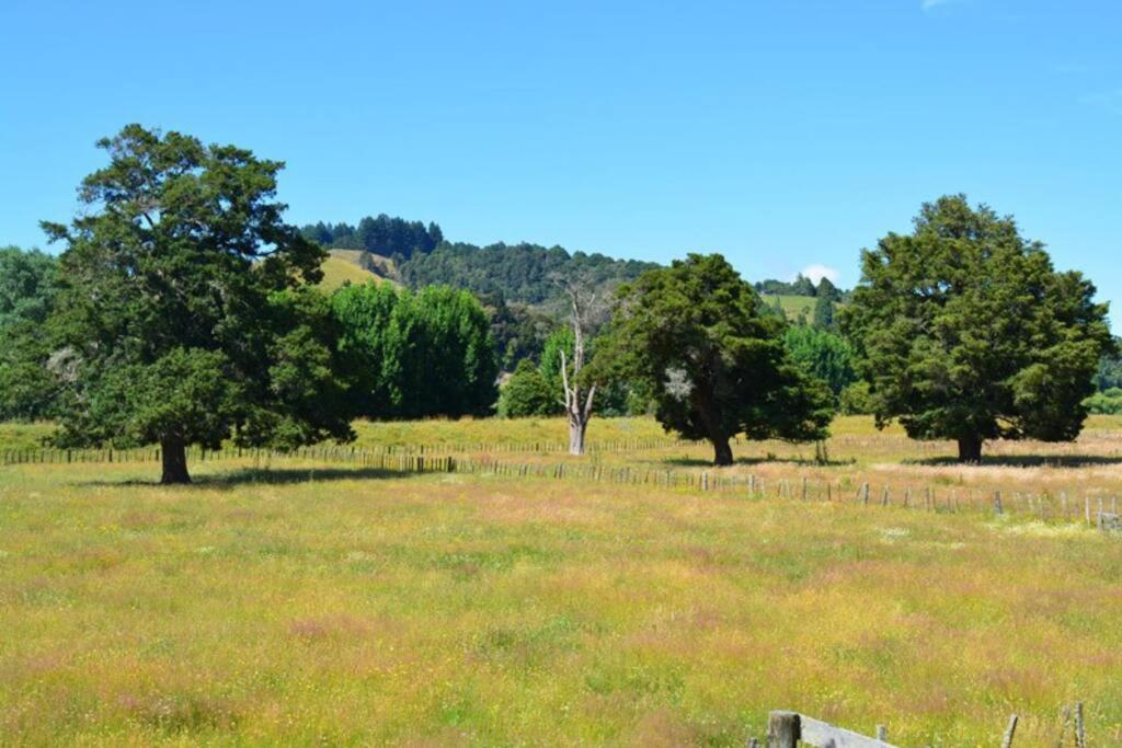 Riverlea Cottage - Cosy, Comfy, Quiet, Central Taumarunui Exterior photo