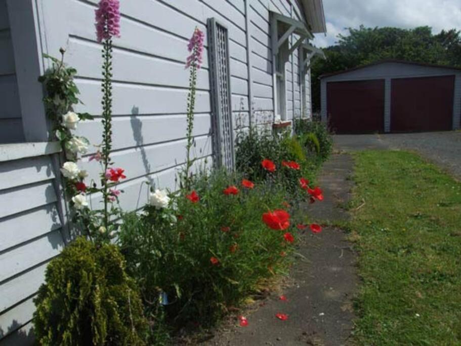 Riverlea Cottage - Cosy, Comfy, Quiet, Central Taumarunui Exterior photo